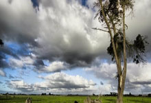 TF gaming-摩洛哥战胜多特蒙德：阿尔瓦雷斯精彩助攻引爆热血青春