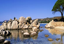 雷火电竞官方-世界网球队完胜英国网球队，瓦林卡绝境逆转：体育精神的终极诠释