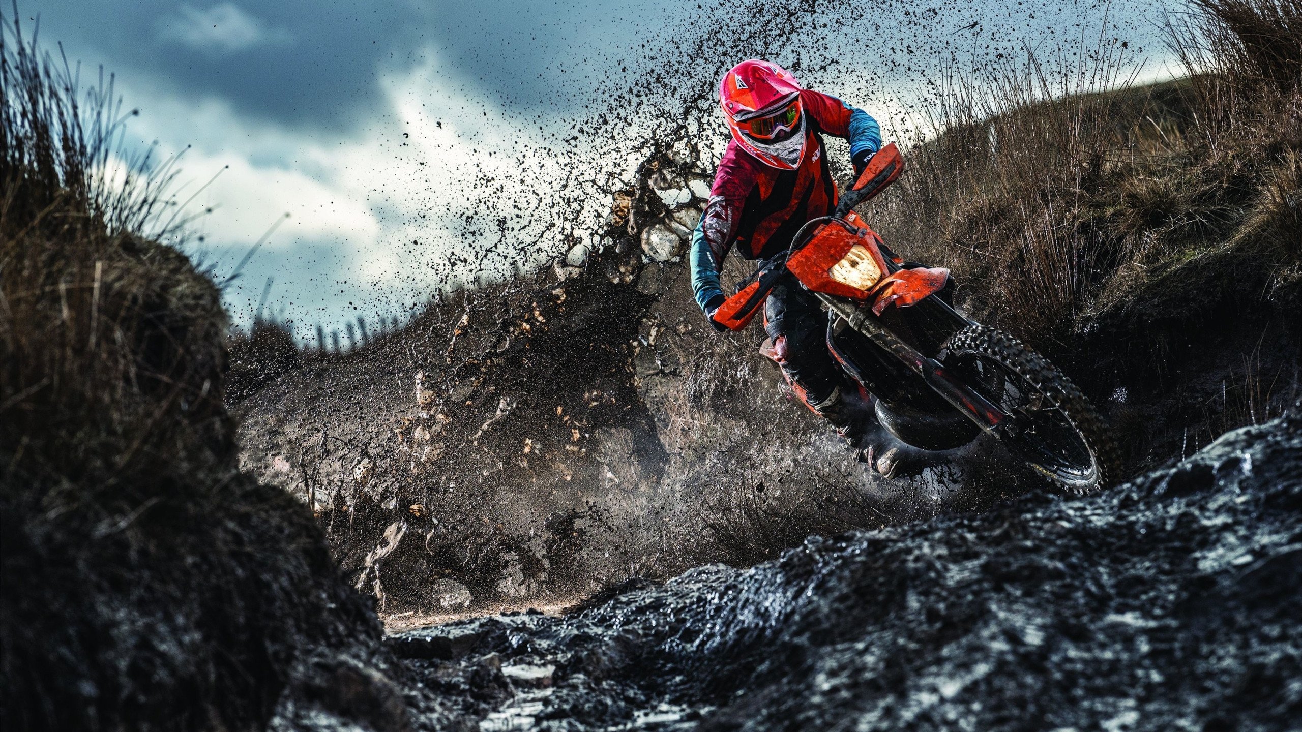 绝境双星,多特蒙德压哨奇迹与奥利维耶的东决接管时刻